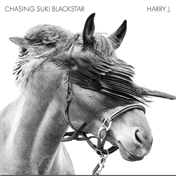 Chasing Suki Blackstar